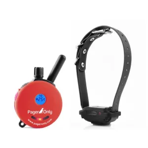 EDUCATOR PG-300 PAGE ONLY VIBRATION REMOTE TRAINER